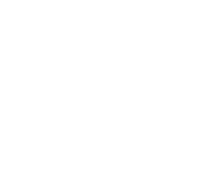 white emblem